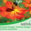 Semi di Cosmea Arancione