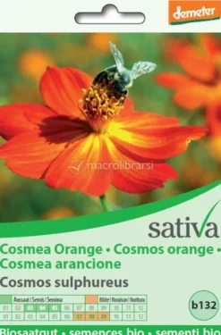 Semi di Cosmea Arancione