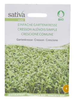 Semi di Crescione Comune