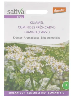 Semi di Cumino - Carvi