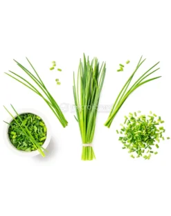 Semi di Erba Cipollina Bio - 50g