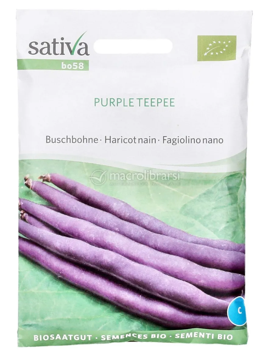 Semi di Fagiolino Nano Purple Teepee