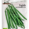 Semi di Fagiolino Nano Slenderette Bio