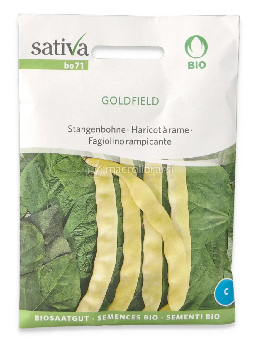 Semi di Fagiolino Rampicante Bio - Goldfield