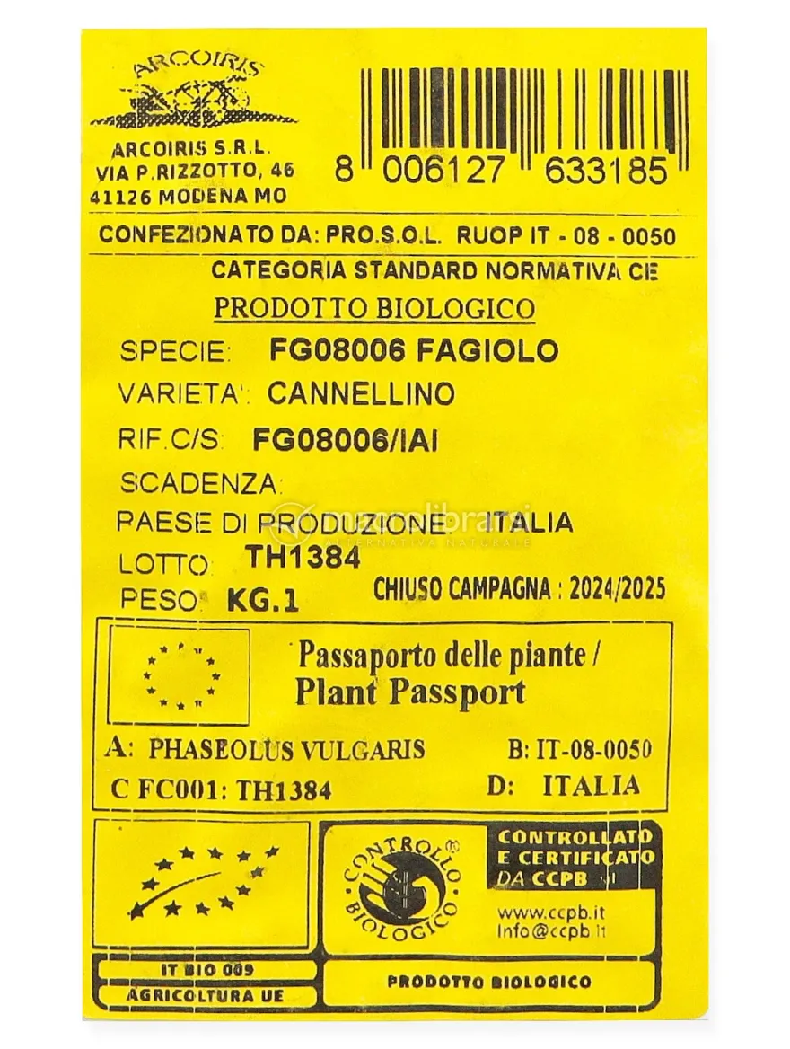 Semi di Fagiolo Nano Cannellino 1 kg
