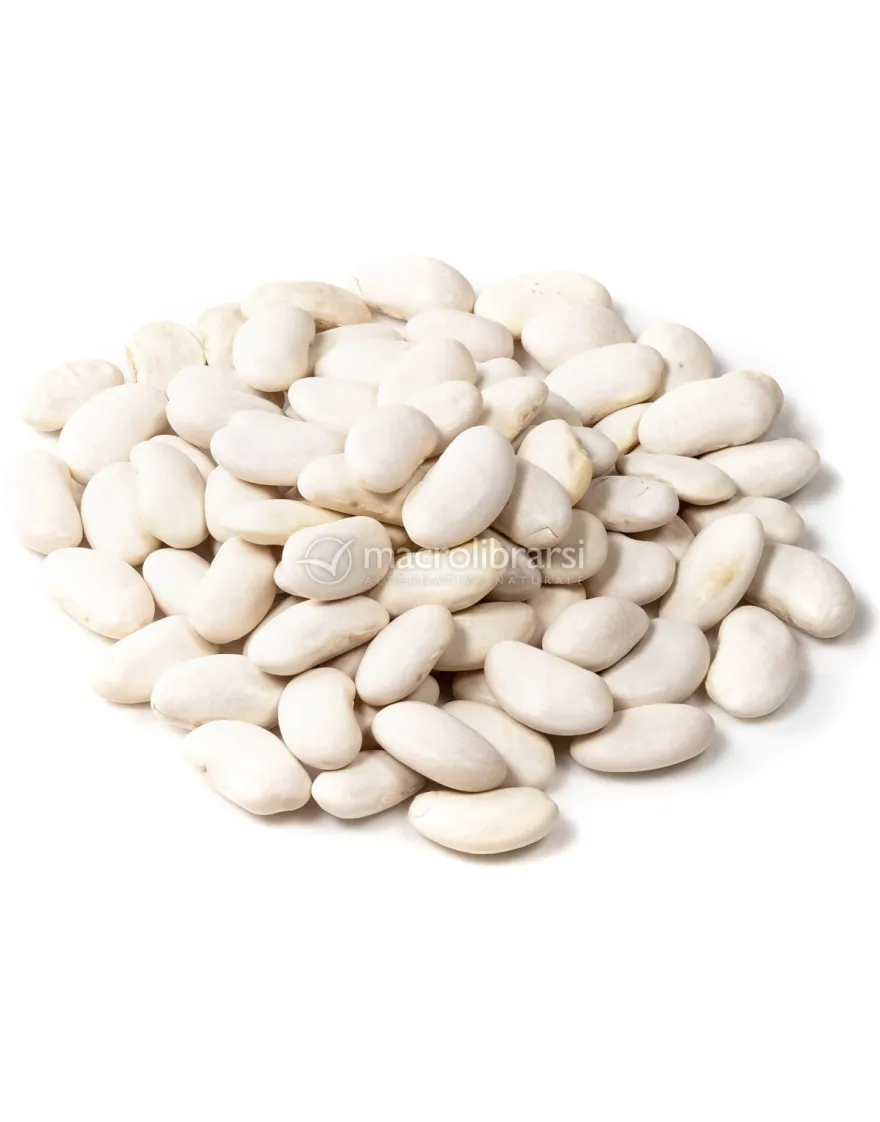 Semi di Fagiolo Nano Cannellino 1 kg
