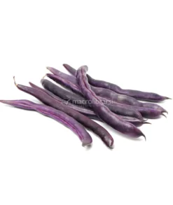 Semi di Fagiolo Purple Queen Bio