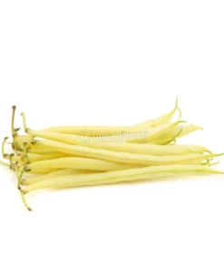 Semi di Fagiolo Rampicante Meraviglia di Venezia - 30 g