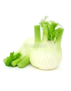 Semi di Finocchio Romanesco Bio