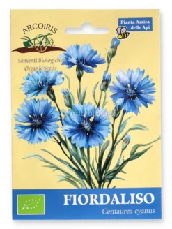 Semi di Fiordaliso