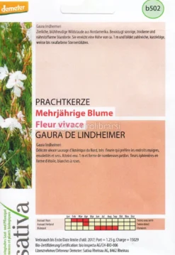 Semi di Fiore Perenne Gaura Lindheimeri