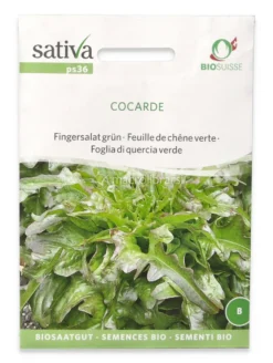 Semi di Foglia di Quercia Verde Bio - Cocarde