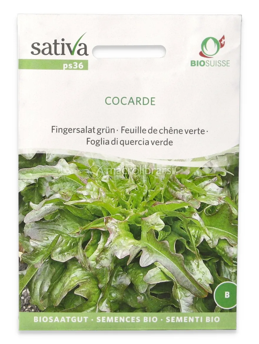 Semi di Foglia di Quercia Verde Bio - Cocarde