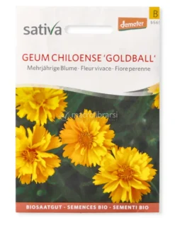 Semi di Geum Chiloense Goldball - Fiore Perenne