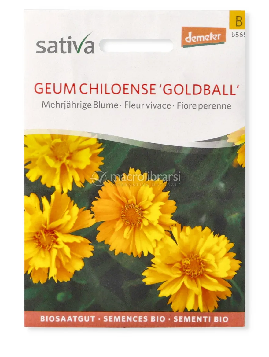 Semi di Geum Chiloense Goldball - Fiore Perenne