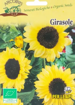 Semi di Girasole Medio a Fiori Gialli Bio