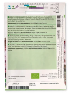 Semi di Lattuga a Cappucio - Meraviglia delle 4 Stagioni