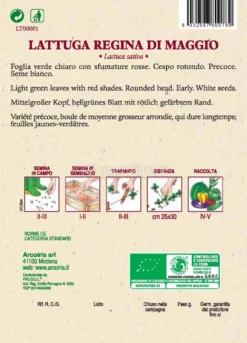 Semi di Lattuga Regina di Maggio Bio - 5 g