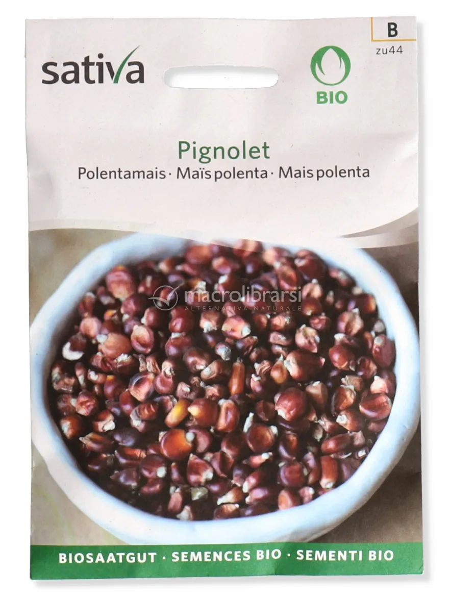 Semi di Mais Polenta - Pignolet