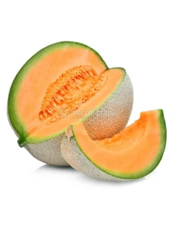 Semi di Melone Ramparino Bio