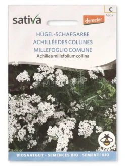 Semi di Millefoglio Comune - Achillea Millefolium Collina