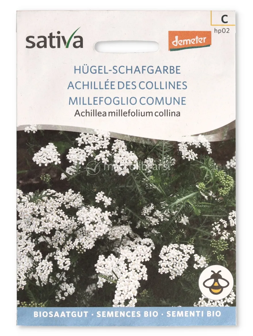 Semi di Millefoglio Comune - Achillea Millefolium Collina