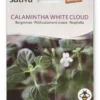 Semi di Nepitella Calamintha White Cloud Bio