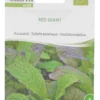Semi d'Insalata Asiatica Red Giant