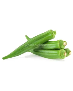 Semi di Okra Spinelles Bio