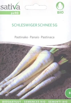 Semi di Pastinaca Schleswiger Schneesg