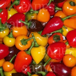 Semi di Peperoncino Chili Mix - 25 Semi