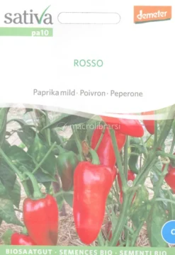Semi di Peperone Rosso - 25 Semi