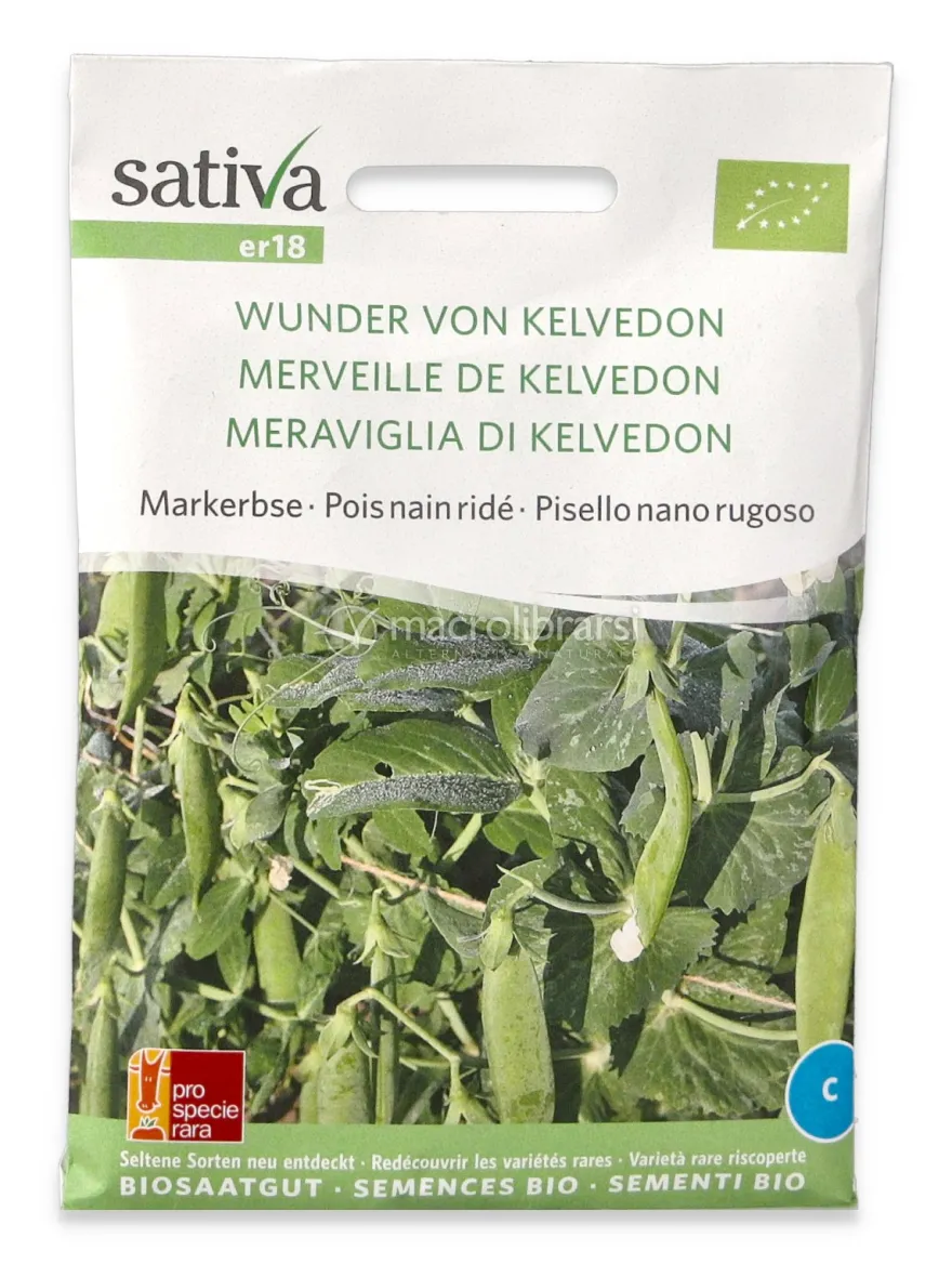 Semi di Pisello Nano Rugoso Bio - Meraviglia di Kelvedon