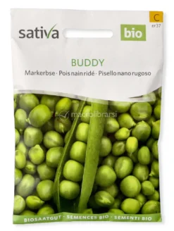 Semi di Pisello Nano Rugoso Buddy
