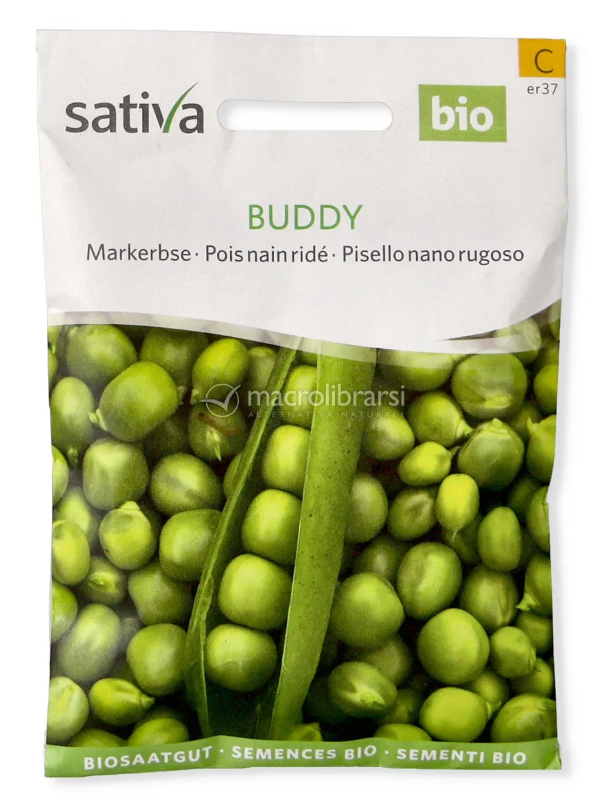 Semi di Pisello Nano Rugoso Buddy