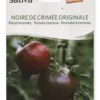 Semi di Pomodoro Carnoso Noire de Crimée Originale - 25 Semi