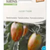 Semi di Pomodoro Dattero - Lucky Tiger