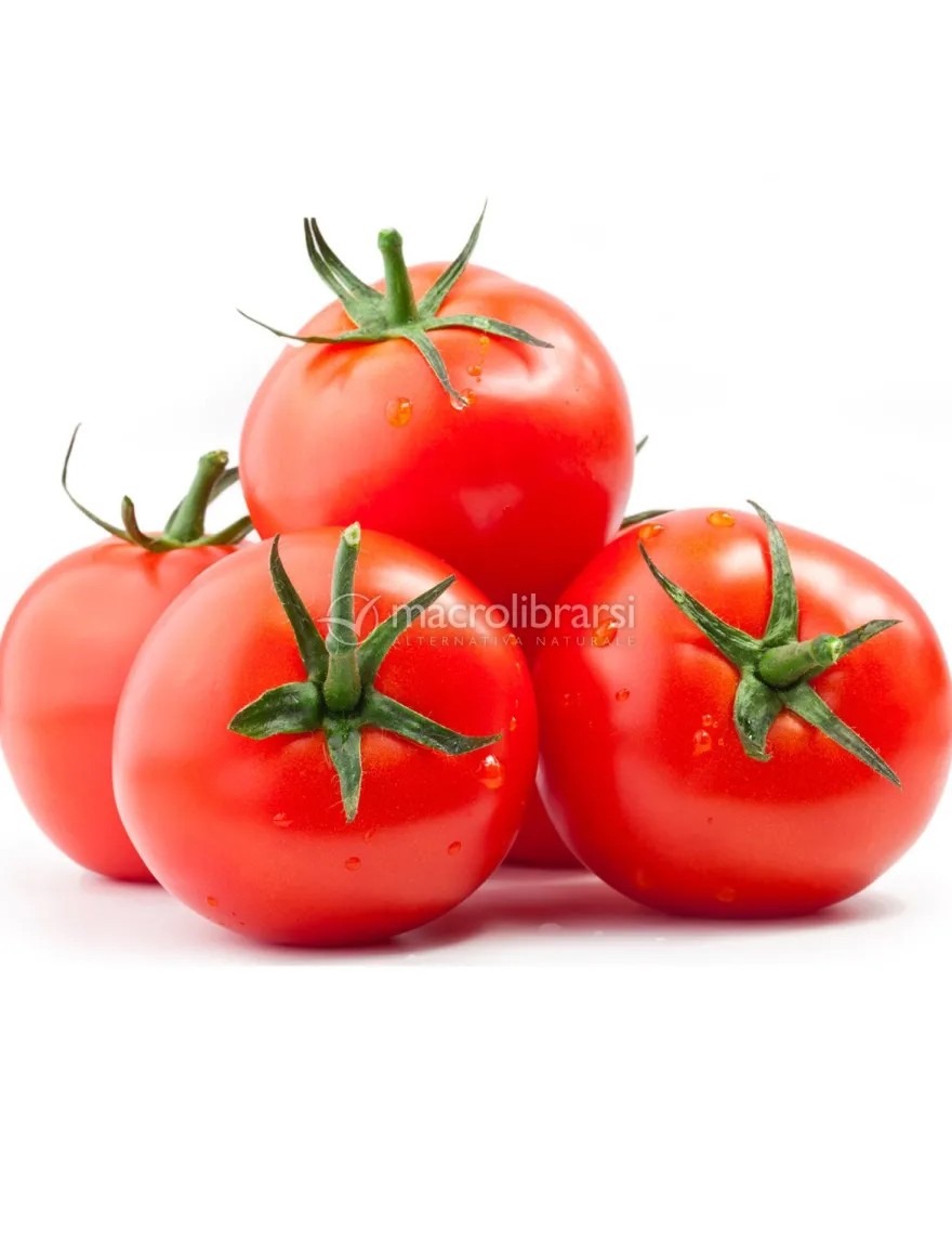 Semi di Pomodoro Homestead Bio