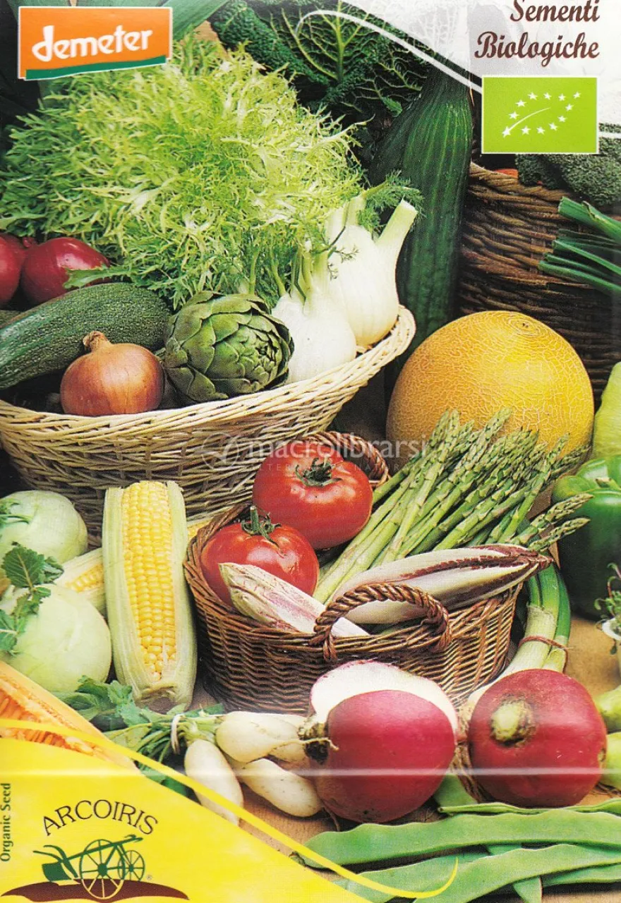 Semi di Pomodoro Homestead Bio