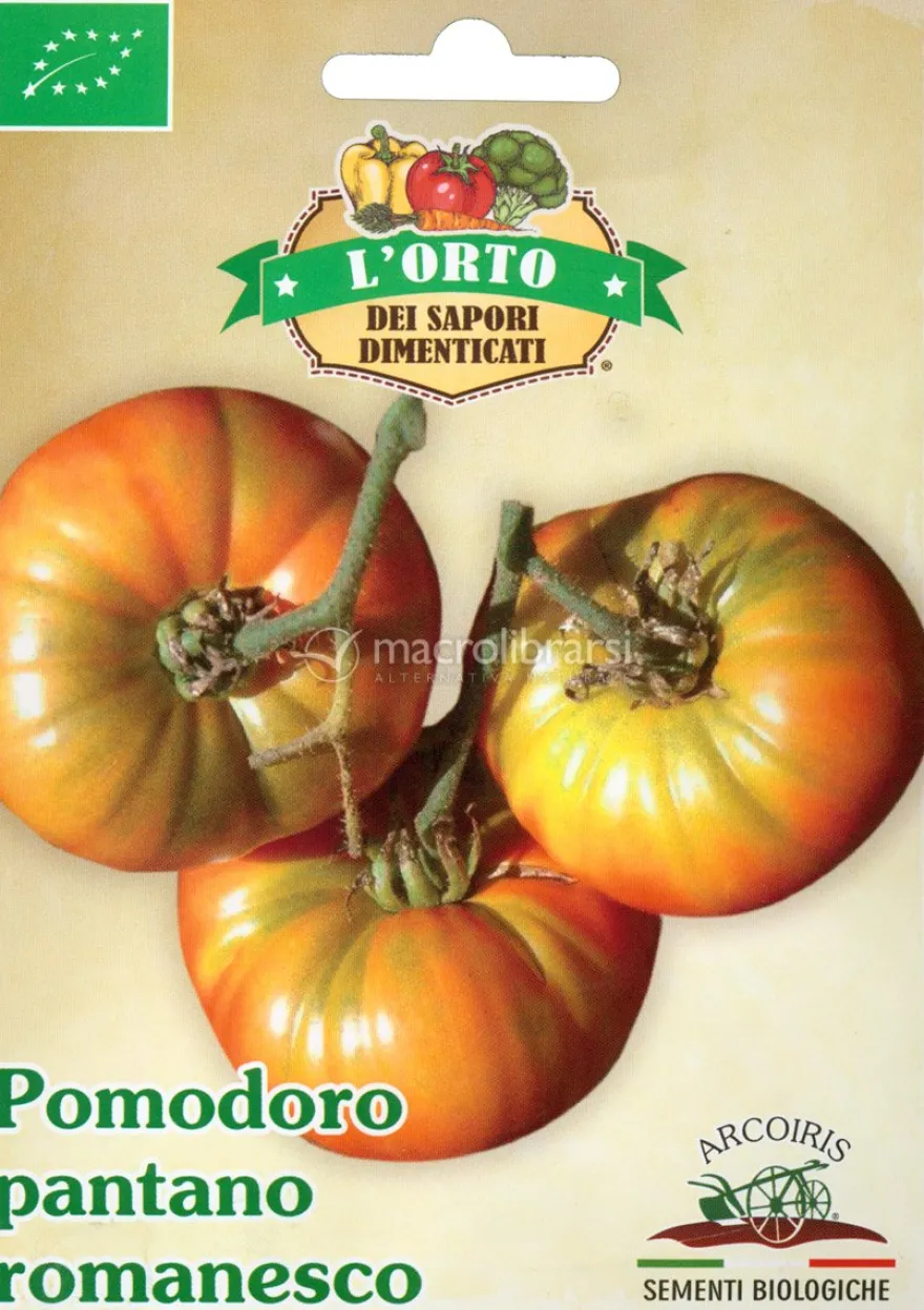 Semi di Pomodoro Pantano Romanesco