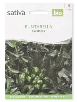 Semi di Puntarella Catalogna