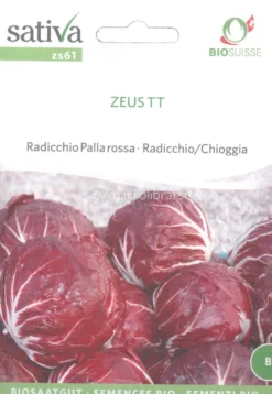 Semi di Radicchio Chioggia Zeus Tt