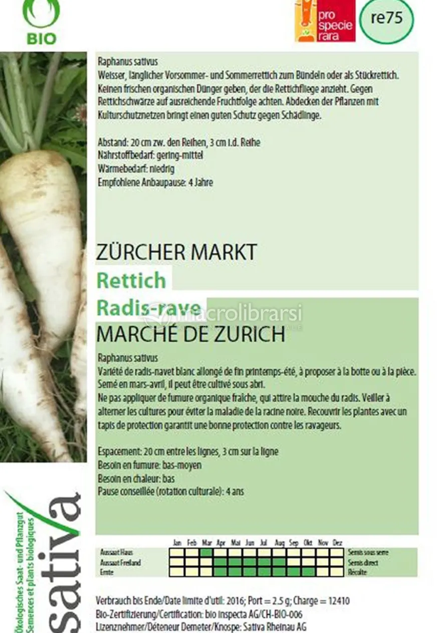 Semi di Rafano Bianco "Mercato di Zurigo"