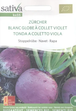 Semi di Rapa Tonda a Colletto Viola Navone