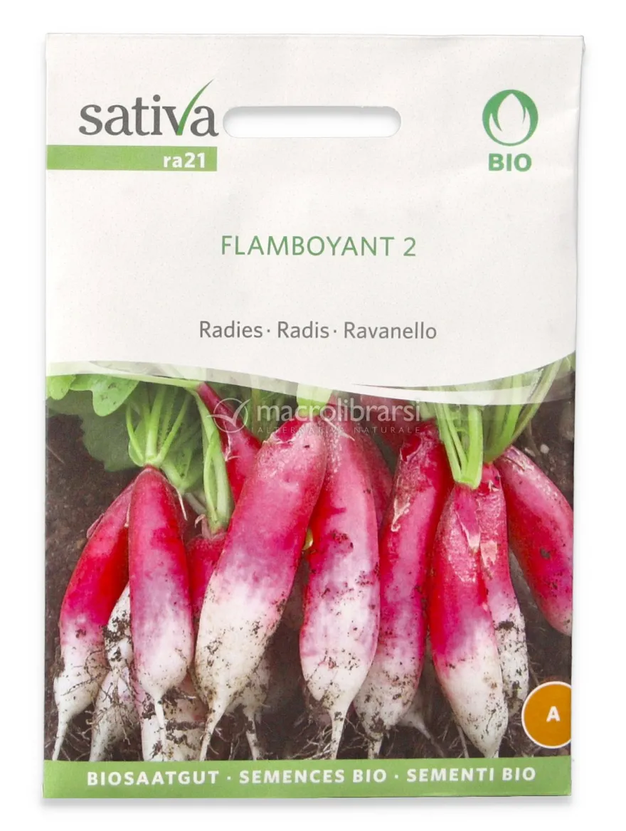 Semi di Ravanello Bio - Flamboyant 2