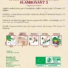 Semi di Ravanello Flamboyant - 4 gr - BU057