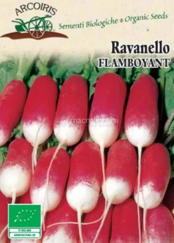 Semi di Ravanello Flamboyant - 4 gr - BU057
