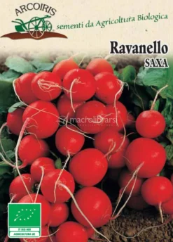 Semi di Ravanello Saxa 2 Bio - 5 g