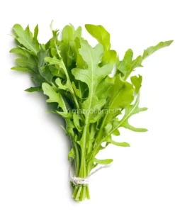 Semi di Rucola Coltivata Bio - 5 g