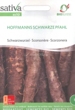 Semi di Scorzanera Hoffmanns Schwarze Pfahl